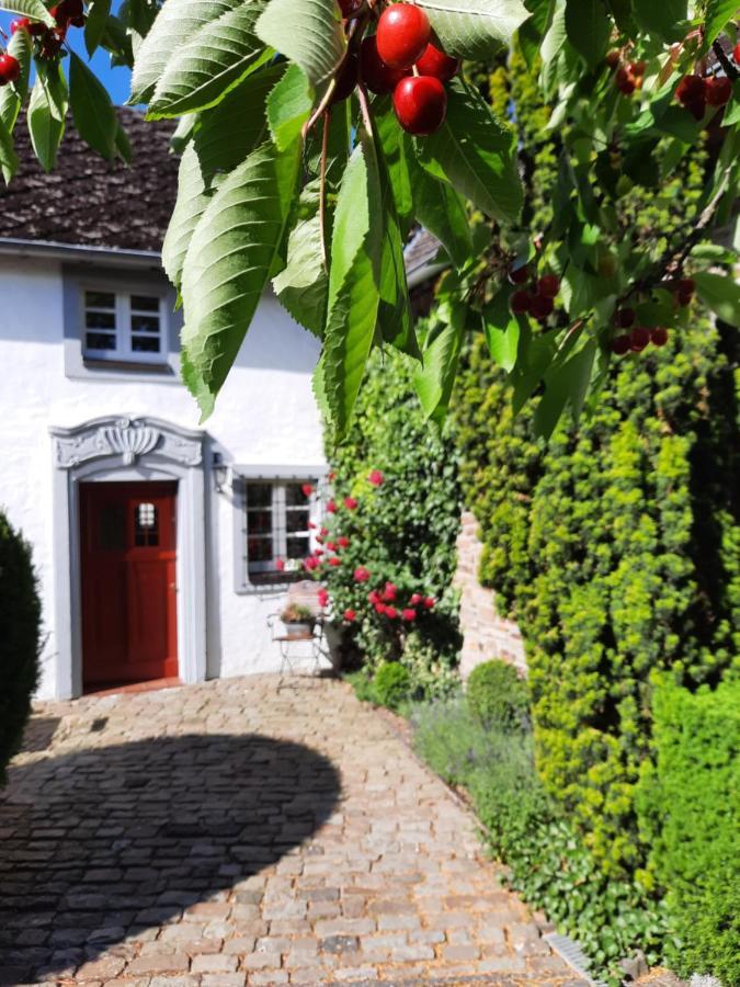 Maternushof Hotel Pomster Buitenkant foto